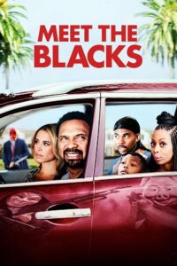 Download Meet the Blacks (2016) BluRay Dual Audio {Hindi-English} 480p [350MB] | 720p [800MB] | 1080p [2GB]