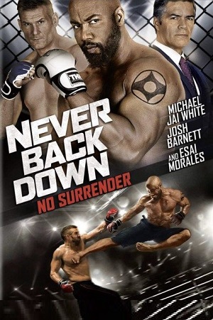 Download Never Back Down No Surrender (2016) BluRay Dual Audio {Hindi-English} 480p [350MB] | 720p [950MB] | 1080p [2GB]