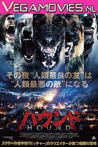 Download Night of the Wild (2015) Dual Audio {Hindi-English} 480p [300MB] | 720p [800MB]