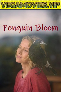 Download Penguin Bloom (2020) HDCAM English 480p [250MB] | 720p [850MB]