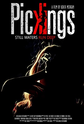 Download Pickings (2018) Dual Audio {Hindi-English} 480p [300MB] | 720p [900MB]