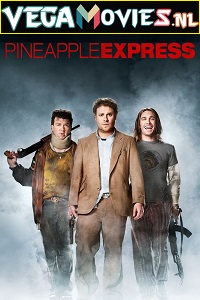 Download Pineapple Express (2008) Dual Audio [Hindi-English] WeB-DL 480p [350MB] | 720p [1.1GB]