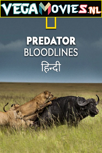 Download Predator Bloodlines (2021) Season 1 Hindi Complete DSNP WEB Series 480p | 720p HDRip