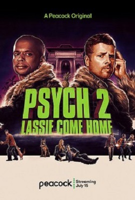 Download Psych 2 (2020) Dual Audio {Hindi-English} 480p [300MB] | 720p [800MB]