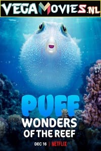 Download Puff: Wonders of the Reef (2021) Dual Audio {Hindi-English} 720p [350MB] HEVC HDRip