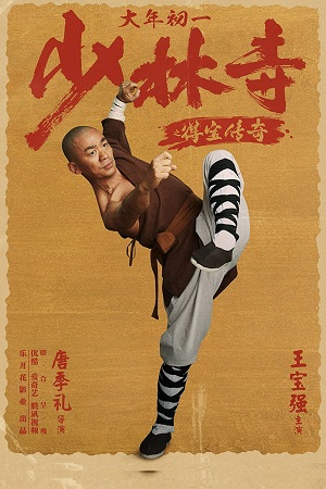 Download Rising Shaolin: The Protector (2021) HDRip Dual Audio {Hindi-Chinese} 480p [350MB] | 720p [1GB]