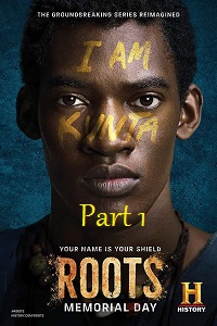 Download Roots – Part 1 (2016) Dual Audio {Hindi-English} 480p [400MB] | 720p [1GB]