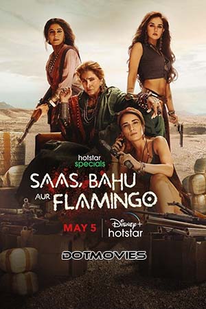 Download Saas Bahu Aur Flamingo (Season 1) Hindi Disney+ Hotstar Complete WEB Series 480p | 720p | 1080p WEB-DL