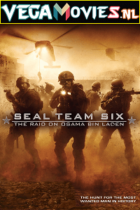 Download Seal Team Six The Raid on Osama Bin Laden (2012) Dual Audio Hindi 480p [350MB] | 720p [1.2GB] | 1080p [2.4GB]