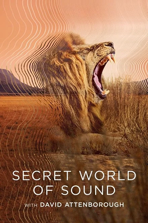 Download Secret World of Sound with David Attenborough – S01 (2024) Dual Audio {Hindi-English} WEB-Series 720p & 1080p WEB-DL