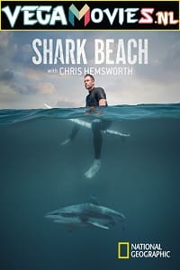 Download Shark Beach with Chris Hemsworth (2021) Dual Audio {Hindi-English} 720p [250MB] HEVC HDRip