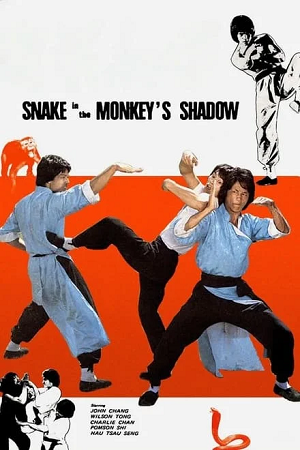 Download Snake in the Monkey’s Shadow (1979) Dual Audio {Hindi-English} 480p [320MB] | 720p [1.1GB] BluRay