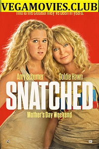 Download Snatched (2017) Dual Audio {Hindi-English} 480p [300MB] | 720p [1GB]