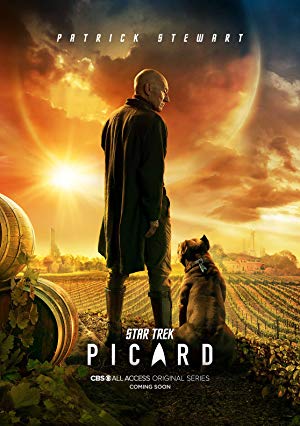 Download Netflix Star Trek: Picard (2020) Season 1 Hindi {All Episodes} 480p & 720p