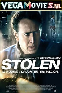 Download Stolen (2012) Dual Audio {Hindi-English} 480p [300MB] | 720p [800MB] | 1080p [1.7GB]