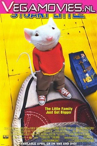 Download Stuart Little (1999) Dual Audio {Hindi-English} 480p [300MB] | 720p [700MB] | 1080p [2.3GB]