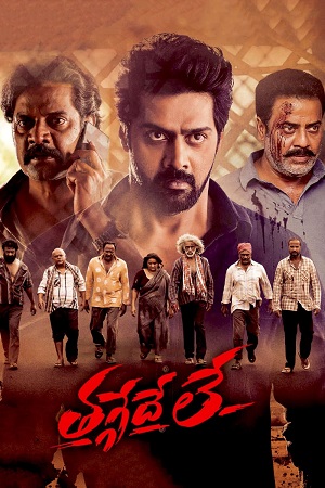 Download Thaggedhe Le (2022) Dual Audio [Hindi ORG. + Telugu] WEB-DL 480p [450MB] | 720p [1.2GB] | 1080p [2.5GB]