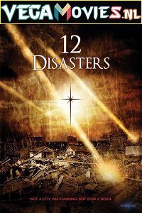 Download The 12 Disasters of Christmas (2012) Dual Audio {Hindi-English} 480p [300MB] | 720p [1.2GB]