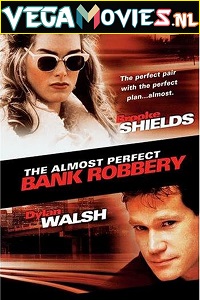 Download The Almost Perfect Bank Robbery (1997) Dual Audio [Hindi-English] WeB-DL 480p [350MB] | 720p [950MB]