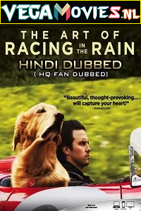 Download The Art of Racing in the Rain (2019) Dual Audio {Hindi-English} 480p [350MB] | 720p [1GB]