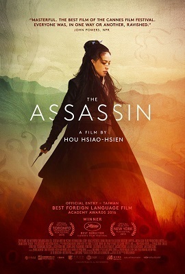 Download The Assassin (2015) Dual Audio {Hindi-English} 480p [350MB] | 720p [1GB]