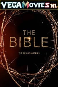 Download The Bible (2013) Season 1 Dual Audio {Hindi-English} 720p [400MB] WEB-DL