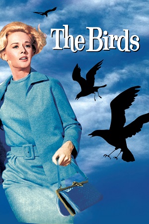 Download The Birds (1963) Dual Audio {Hindi-English} 480p [400MB] | 720p [1.2GB] | 1080p [2.5GB]