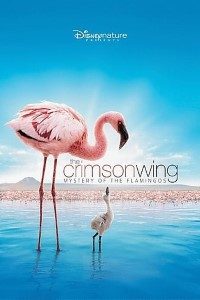 Download The Crimson Wing (2008) Dual Audio {Hindi-English} 480p [300MB] | 720p [800MB]