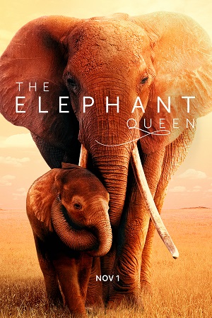 Download The Elephant Queen (2019) WEB-DL Dual Audio {Hindi-English} 480p [320MB] | 720p [900MB] | 1080p [2GB]