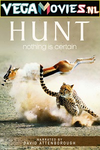 Download The Hunt (2015) Season 1 English With Subtitles 720p [450MB] WEB-DL