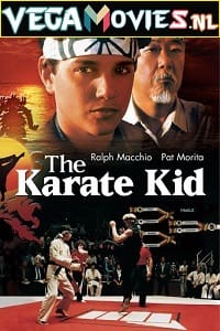 Download The Karate Kid (1984) Dual Audio {Hindi-English} 480p [400MB] | 720p [1GB] | 1080p [4GB]