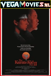 Download The Karate Kid Part 2 (1986) Dual Audio {Hindi-English} 480p [400MB] | 720p [820MB] | 1080p [3GB]