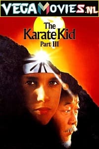 Download The Karate Kid Part 3 (1989) Dual Audio {Hindi-English} 480p [400MB] | 720p [850MB] | 1080p [3.7GB]