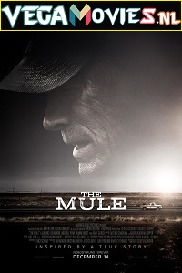 Download The Mule (2018) English With Subtitles 480p [500MB] | 720p [900MB]