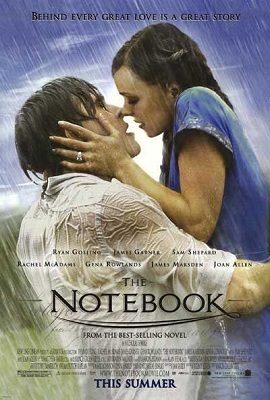 Download The Notebook (2004) Dual Audio {Hindi-English} 480p [350MB] | 720p [1GB]