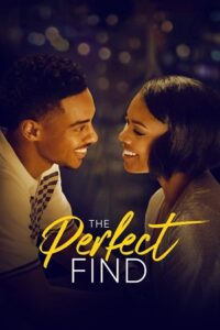 Download The Perfect Find (2023) Netflix Original Dual Audio {Hindi-English} 480p [350MB] | 720p [900MB] | 1080p [2GB] WEB-DL