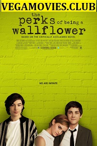 Download The Perks of Being a Wallflower (2012) BluRay English Full Movie 480p [400MB] | 720p [800MB]