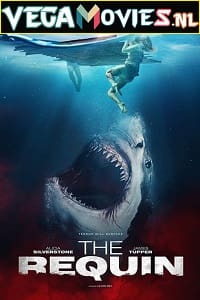 Download The Requin (2022) {English with Subtitles} 480p [300MB] | 720p [800MB]