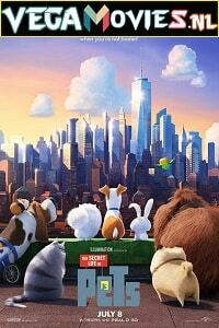 Download The Secret Life of Pets (2016) Dual Audio [Hindi-English] 480p [350MB] | 720p [850MB] | 1080p [3.2GB]