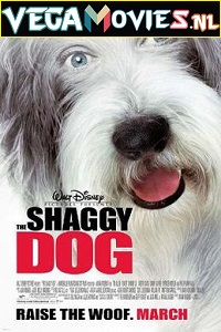 Download The Shaggy Dog (2006) Dual Audio {Hindi-English} 480p [300MB] | 720p [1GB]