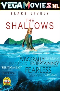 Download The Shallows (2016) Dual Audio {Hindi-English} 480p [350MB] | 720p [950MB] | 1080p [1.5GB]