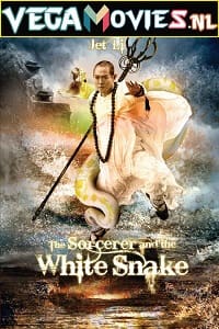 Download The Sorcerer and the White Snake (2011) Dual Audio {Hindi-English} 480p [300MB] | 720p [800MB] | 1080p [1.5GB]