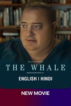 Download The Whale (2022) WEB-DL [Hindi ORG – English] Full Movie 480p [350MB] | 720p [1.3GB] | 1080p [3.3GB]