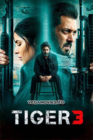 Download Tiger 3 (2023) Hindi AMZN WEB-DL 480p [500MB] | 720p [1.3GB] | 1080p [2.5GB] | 2160p 4K UHD [17GB]