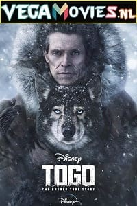 Download Togo (2019) Full Movie {English with Subtitles} WEB-DL 480p [450MB] | 720p [1GB] | 1080p [1.8GB]