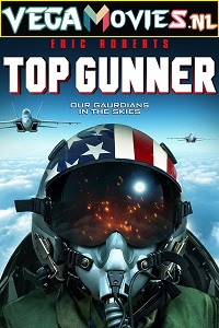 Download Top Gunner (2020) Dual Audio [Hindi + English] WeB-DL 480p [300MB] | 720p [850MB] | 1080p [1.6GB]