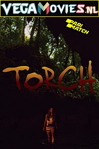 Download Torch (2021) Hindi Voice Over Full Movie WEB-DL 720p [1GB]