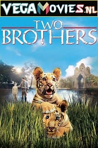 Download Two Brothers (2004) Dual Audio [Hindi-English] WeB-DL 480p [350MB] | 720p [1GB]