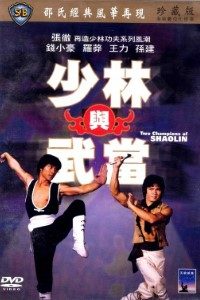 Download Two Champions of Death (1980) Dual Audio {Hindi-English} 480p [400MB] | 720p [1GB]