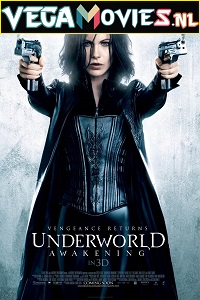 Download Underworld Awakening (2012) Dual Audio {Hindi-English} 480p [400MB] | 720p [1GB] | 1080p [1.5GB]